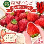 福岡いちご3種 食べ比べセット あまおう&amp;かおり野&amp;…