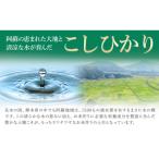 令和7年産 こしひかり 20kg