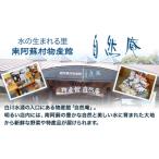 白川水源 ミネラルウォーター タンク式 10L×2ケース