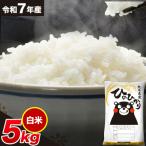 令和7年産 ひのひかり 白米 5kg