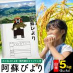 阿蘇びより 白米 5kg
