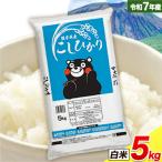 令和7年産 こしひかり5kg 無洗