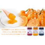 木之内農園 ジャム 3種食べ比べセット 150g×3本