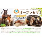 引退馬余生支援寄附 50,000円 一般社団法人オープンセサミ…