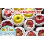 りんご 旬のりんご 洋梨含む 大玉 約2kg