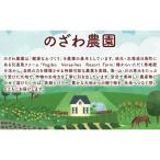 フルーツ ほおずき 太陽の子 約500g