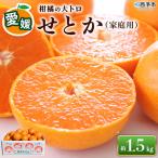 先行受付<せとか 1.2kg+300g>えひめ