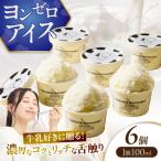 ヨンゼロアイス 6個セット_H0010-107