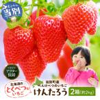 産べんけべつのいちご けんたろう 8パック_tb38-003