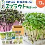 スプラウト かいわれなど9種セット 計13個