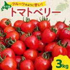 fu.... налог более город блок клубника type мини помидоры [ помидор Berry ] 3Kg_Y165-0001