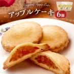 藤原吉福堂 アップルケーキ 6個