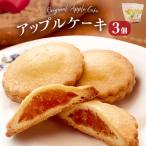 藤原吉福堂 アップルケーキ 3個
