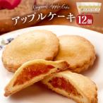 藤原吉福堂 アップルケーキ 12個