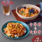 中華丼&天津丼 各1袋セット 中華惣菜 セット