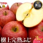 2026年 樹上完熟ふじりんご 秀品 3kg
