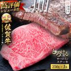 佐賀牛 サーロインステーキ 250g×1枚