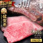 佐賀牛 サーロインステーキ 250g×2枚