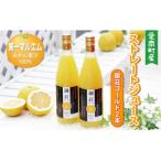 第一マルエムの御荘ゴールド 河内晩柑 ストレートジュース
