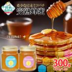 2年間熟成 希少な日本ミツバチ完熟蜂蜜 150g×2個