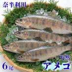 奈半利川の天然アメゴ 冷凍 6尾
