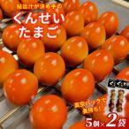 鮎出汁 くんせいたまご 5個×2袋