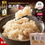 新米 令和8年産 定期便 玄米 あきたこまち 6kg