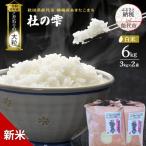 令和8年産 白米 大粒 あきたこまち 杜の雫