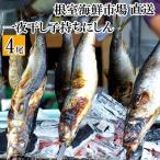 根室 市場 一夜干し子持ちにしん4尾 G-28047