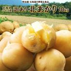 ふるさと納税 ニセコ町 早期受付・数量限定 北海道ニセコ町 訳ありじゃがいも北あかり10kg　2026年産