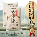 ふるさと納税 阿賀野市 【令和7年産】玄米黒酢農法コシヒカリ「やまびこ米」10kg(白米5kg×2袋)