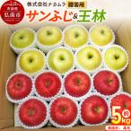 りんご サンふじ 約5kg