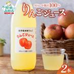果汁100%りんごジュース 1L×2本セット
