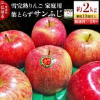 りんご サンふじ 約2kg