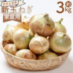 新玉ねぎ 3kg