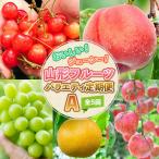 fu.... налог Yamagata город [ установленный срок рейс 5 раз ]....!ju-si-! Yamagata фрукты варьете установленный срок рейс A FY26-216
