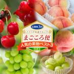 fu.... налог Yamagata город [ установленный срок рейс 3 раз ]nono - na тщательно отобранный фрукты .... рейс популярный фрукты лучший 3 свет FY26-217