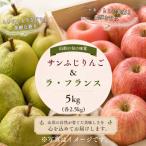 りんご 山形産 サンふじ ラ フランス詰合せ 約5kg