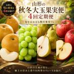 山形の秋冬大玉果実便 ~旬をほおばる贅沢果実リレー~