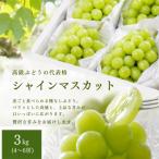 おすそ分けに シャインマスカット 秀品 約2.4kg