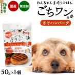 わんちゃん手づくりごはん ごちワン さけハンバーグ