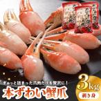 本ズワイガニ 爪肉 3kg