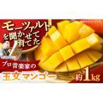 fu.... налог . передний блок [mo-tsaruto........] шар документ манго примерно 1kg