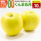 りんご ぐんま名月&サンふじ 約10kg