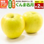 りんご ぐんま名月 約2kg
