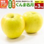 りんご ぐんま名月&サンふじ 約3kg