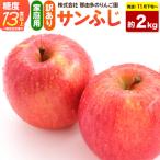 りんご サンふじ 約2kg