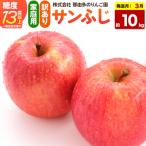 りんご サンふじ 約10kg