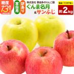 りんご ぐんま名月&サンふじ 約2kg