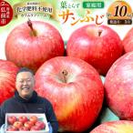 りんご 葉とらず サンふじ 約10kg